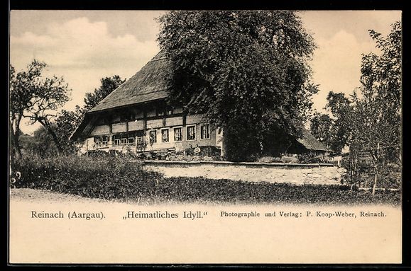 Ansichtskarten: AK Reinach /Aargau, Wohnhaus mit Bäumen – Gebraucht aus Berlin von bartko-reher