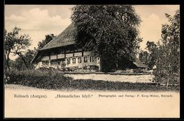 AK Reinach /Aargau, Wohnhaus mit Bäumen