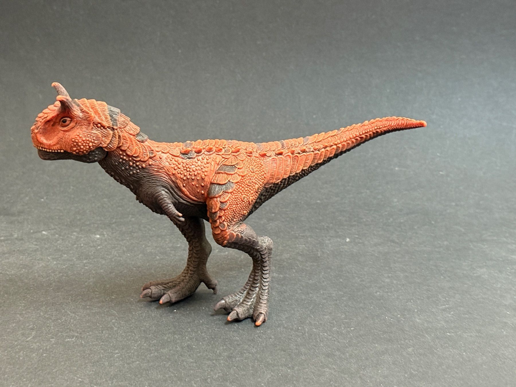 Schleich Statuette: Schleich 14586 Carnotaurus Dino Dinosaurier – Usato da Ennetbaden venduto da mapa05 5