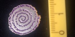 Pin lila/silber Spirale