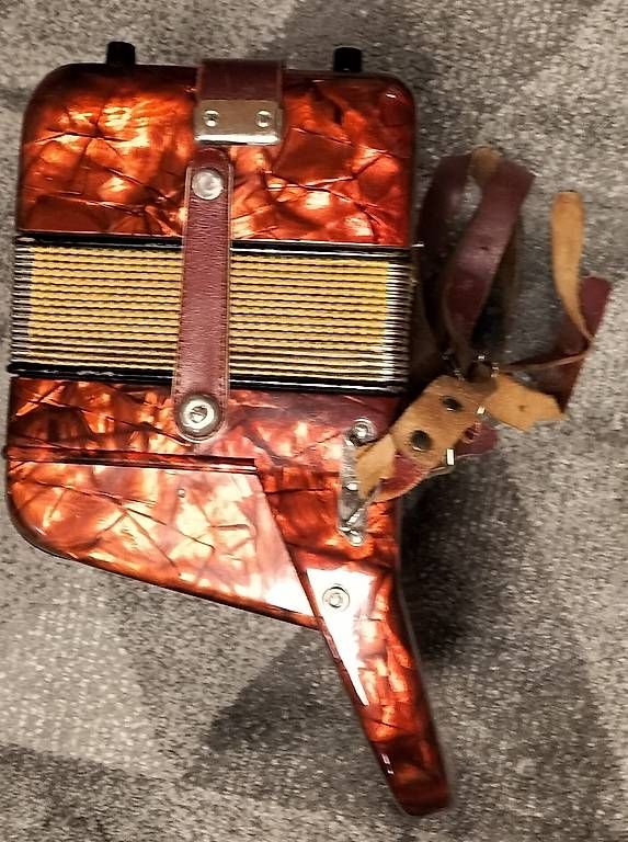 Strumenti musicali: Akkordeon Piccolo Hohner – Usato da Steinach venduto da Tsgweh 3