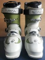 SCARPA Star Damen Skitouren Skischuhe Gr.42 - Top Zustand