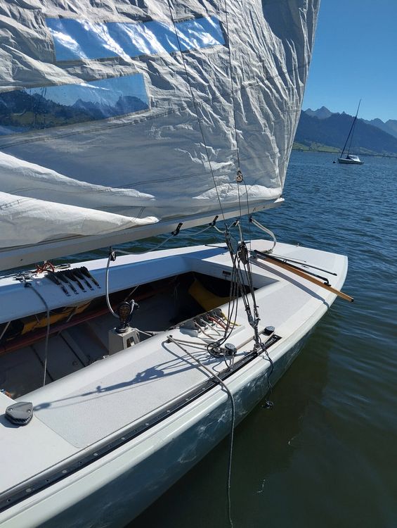 star segelboot gebraucht