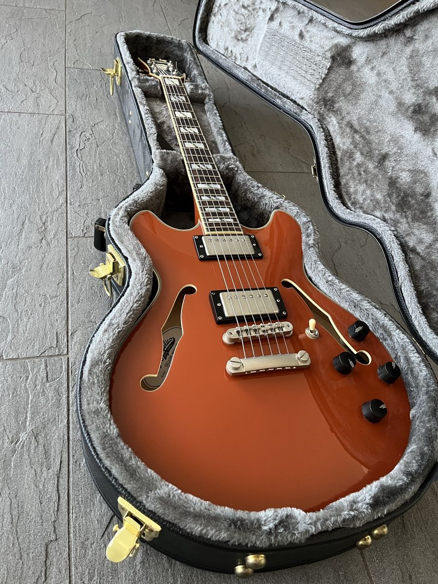 Strumenti musicali: D‘angelico Deluxe Mini DC – Usato da Baar venduto da Limettenschnitz 4