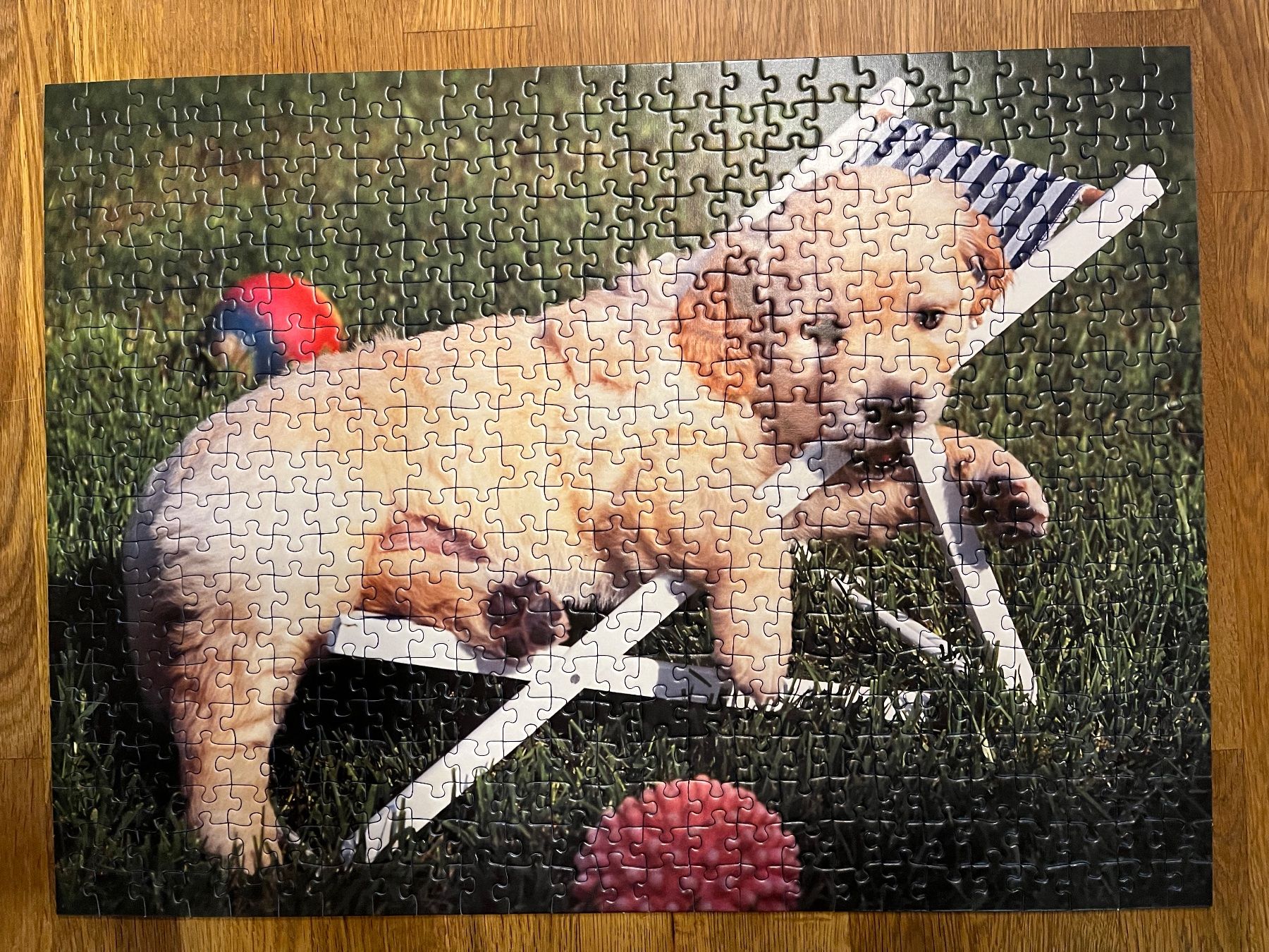 Ravensburger Puzzle: Ravensburger Puzzle "Golden Retriever" – Usato da Bauma venduto da Budgerigar 1
