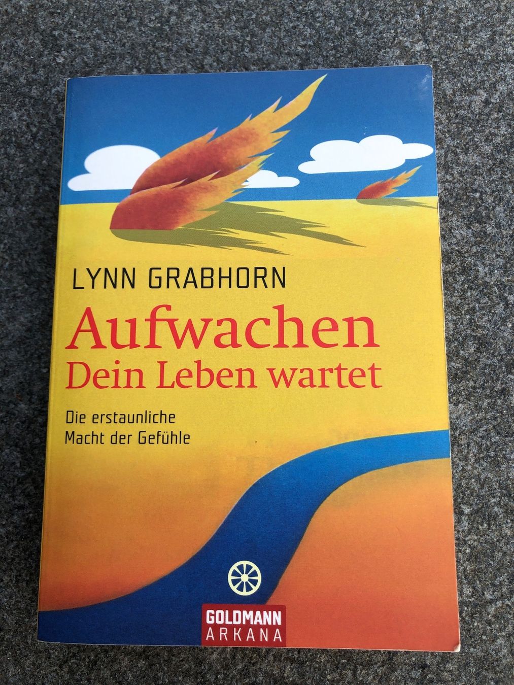 Bücher: Buch Aufwachen dein Leben wartet – Neu (gemäss Beschreibung) aus Grenchen von nethy
