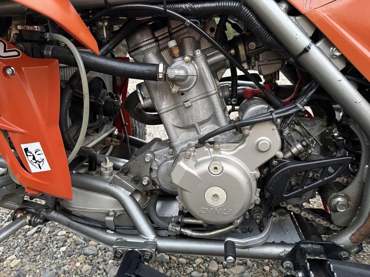Dinli Quads: Dinli DL DMX 450 – D'occasion à Bischofszell par Ehelena 7