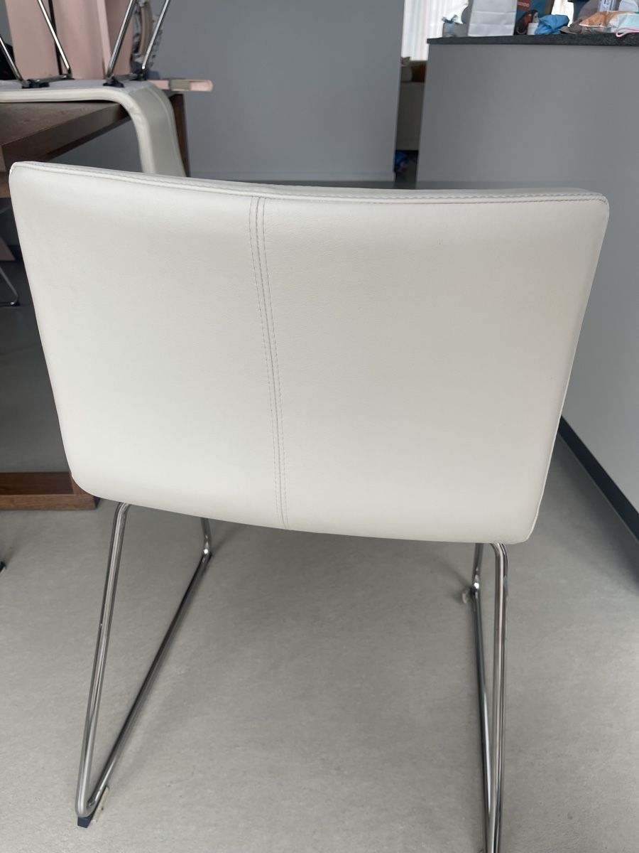 Ikea Sedie: Stühle Ikea Bernhard beige 6 Stk.  – Usato da Rotkreuz venduto da Nos29 2