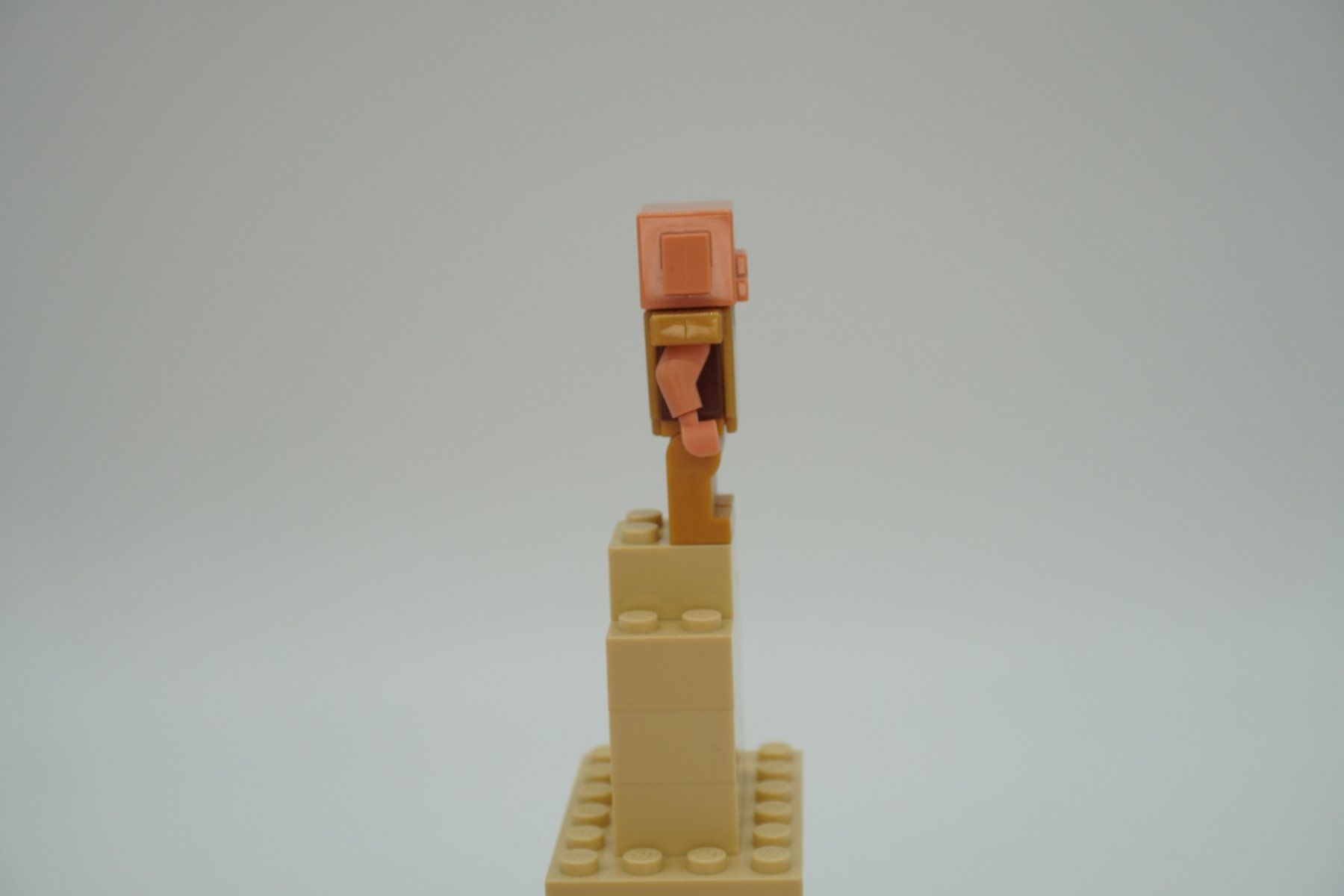 Lego Jouets: Lego Minecraft Piglin Bundle – D'occasion à Zürich par PWGrZ 7