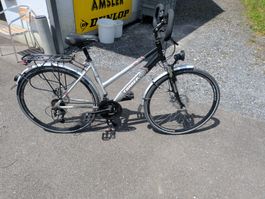 Top Tourenvelo "Torrek" - Ideal für den Sommer!