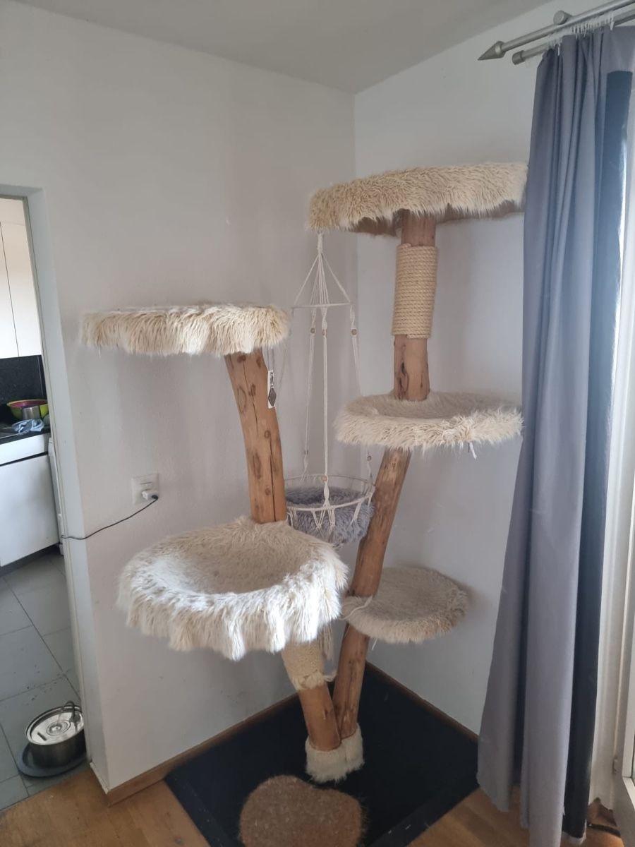 Tiragraffi: Katzenkratzbaum aus Naturholz – Usato da Regensdorf venduto da dan_p2pm 1