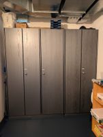 Grosser Wandschrank/Putzschrank