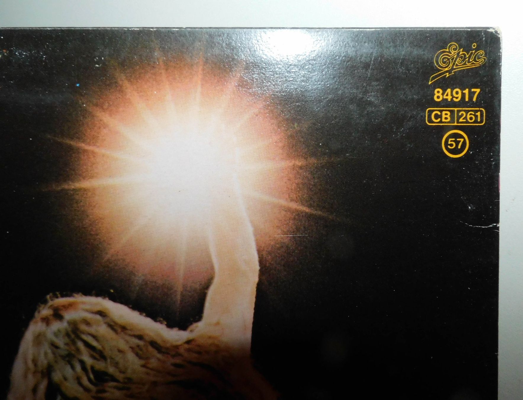 Dischi in vinile: Lp - 1981 Ted Nugent - Schallplatte   Lp – Usato da Sursee venduto da 76 5