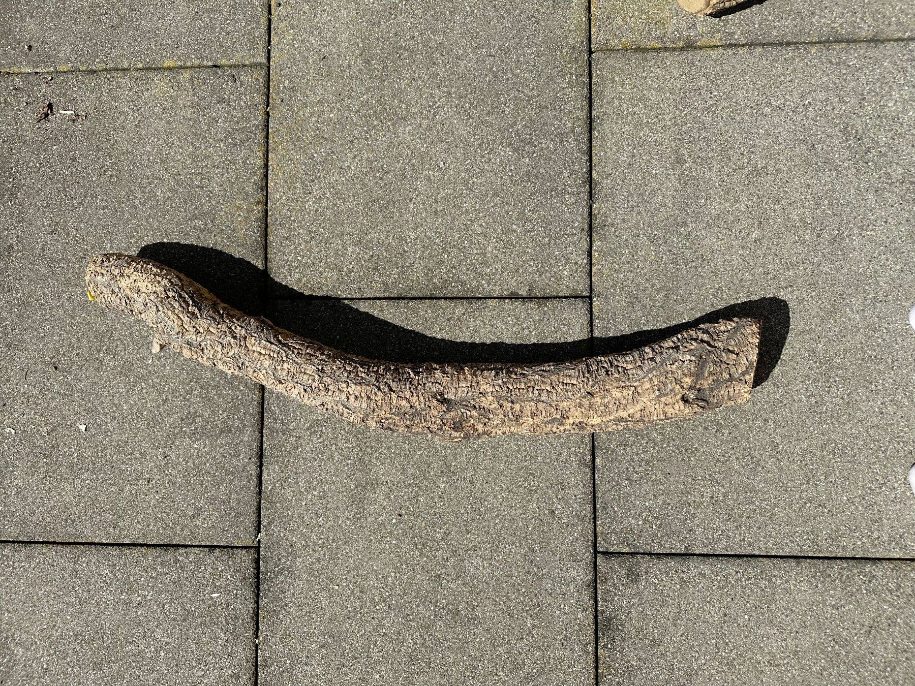 Articoli in legno: Trixie Kork Troncos ca. 79cm Lang & 9cm Durchmesser – Usato da Samstagern venduto da Panizza 1