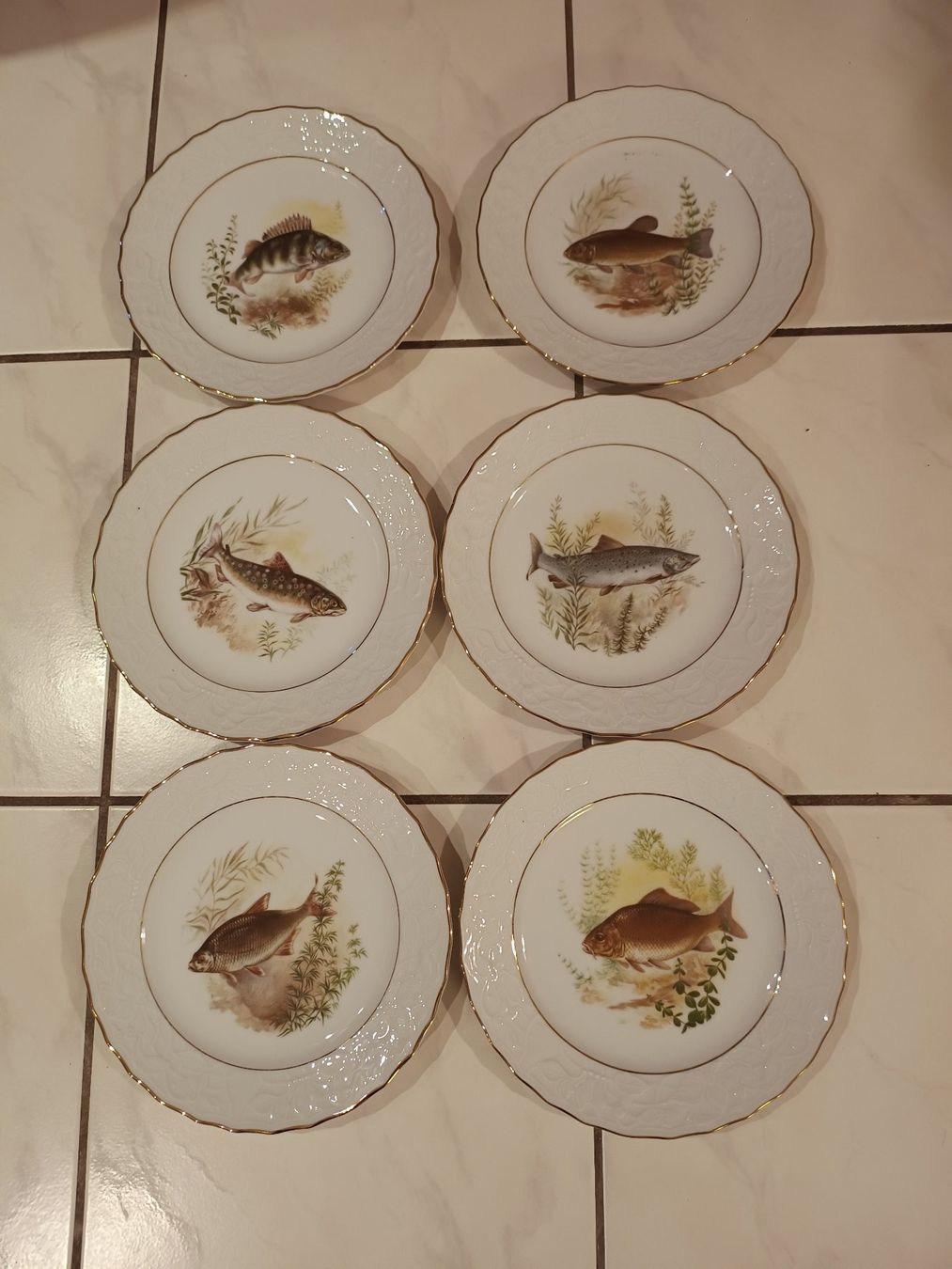 Piatti: Fischteller Mitterteich – Usato da Pfäffikon SZ venduto da Elendir