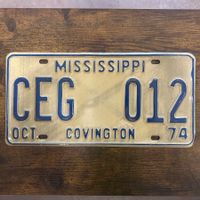 🇺🇸 1974 Vintage U.S. Autoschild - Mississippi CEG 012