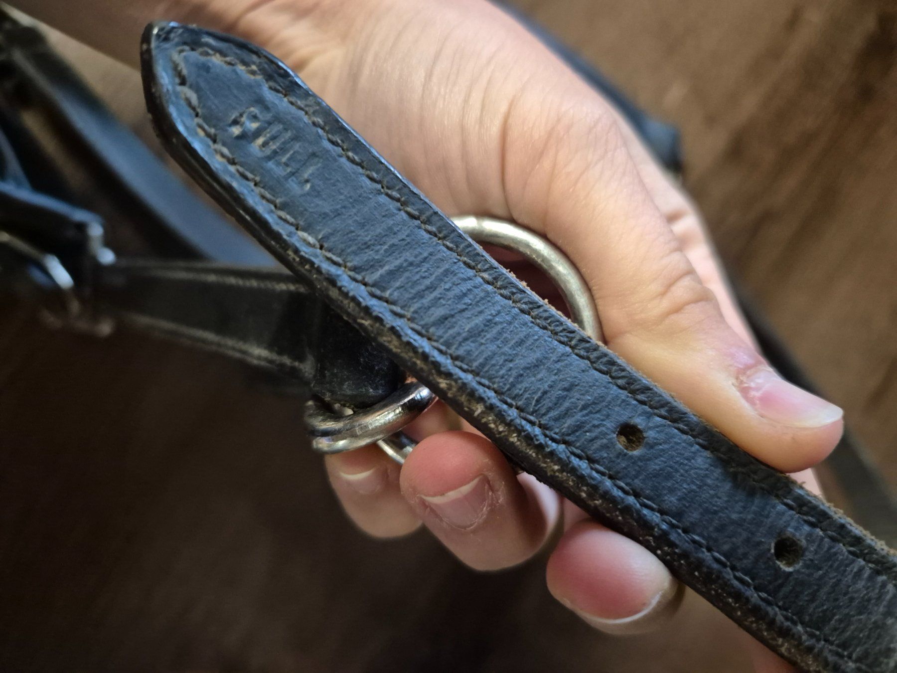 Zaumzeug & Halfter: Showmaster Leder Halfter FULL – Gebraucht aus Meggen von Orrinka20 1