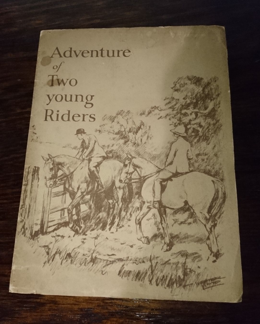 Bücher: Livre pour enfant ancien – Gebraucht aus Châtelaine von Gio54321