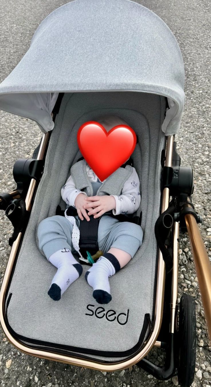 Kinderwagen: Seed Papilio Kinderwagen Rose Gold – Gebraucht aus Seewen SO von cuisinier90 1
