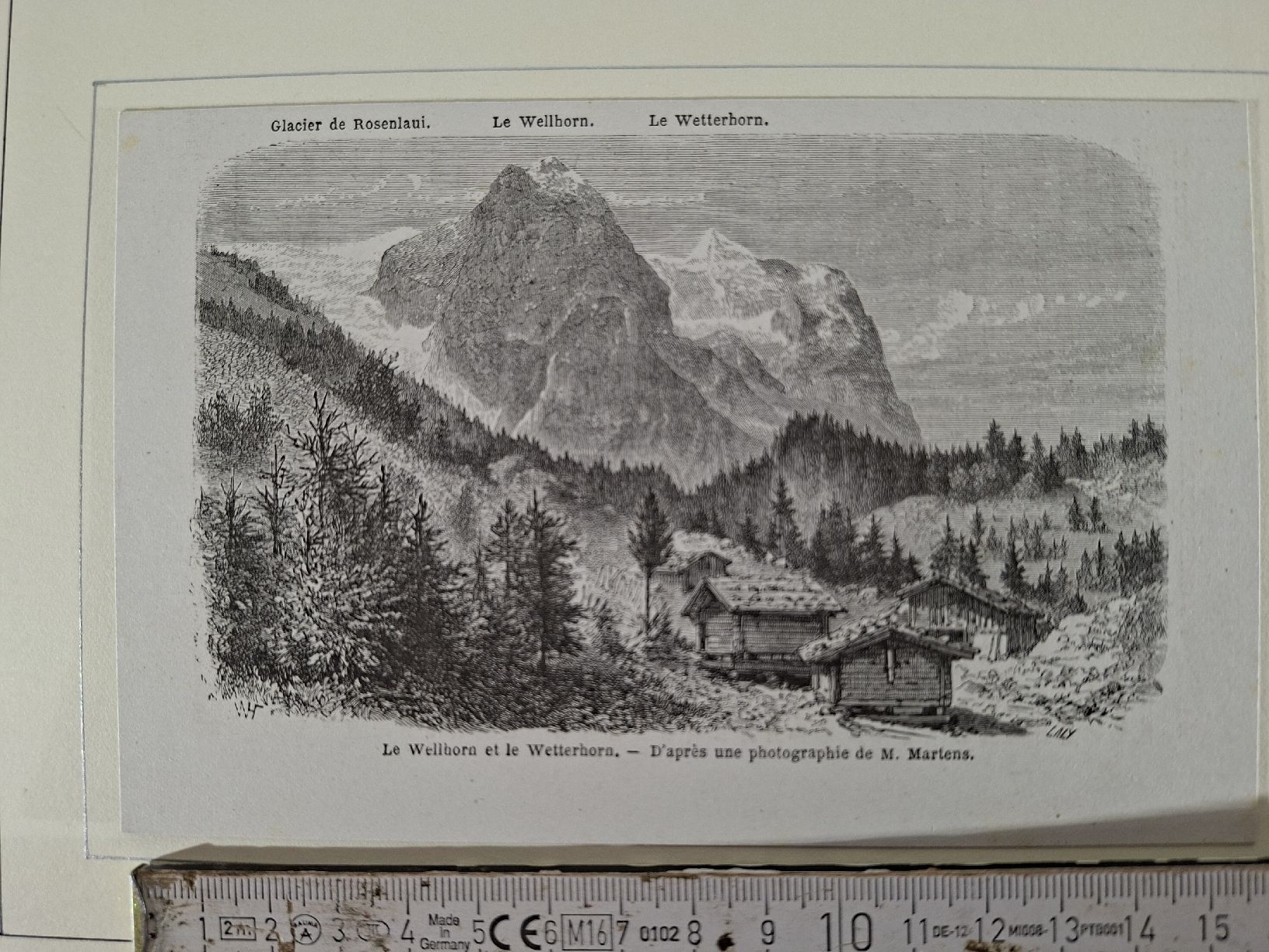 Incisioni: Lot 61, 10 Stiche  – Usato da Grindelwald venduto da carro5 3