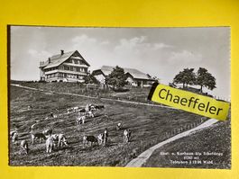 Gast- u. Kurhaus Alp Scheidegg