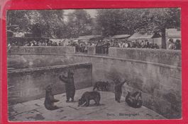 BERNE, FOSSE AUX OURS, 4.6.1914