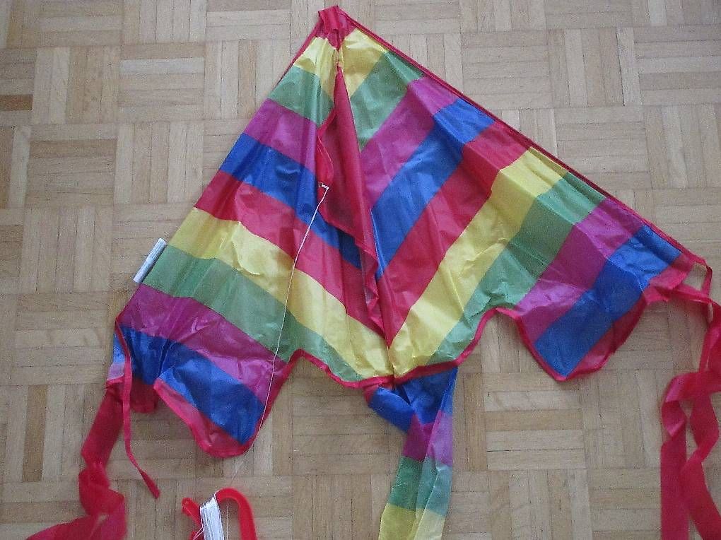 Giocattoli: Neuwertiger Kinderdrachen mit Regenbogen Farben – Usato da Zug venduto da roche72 1