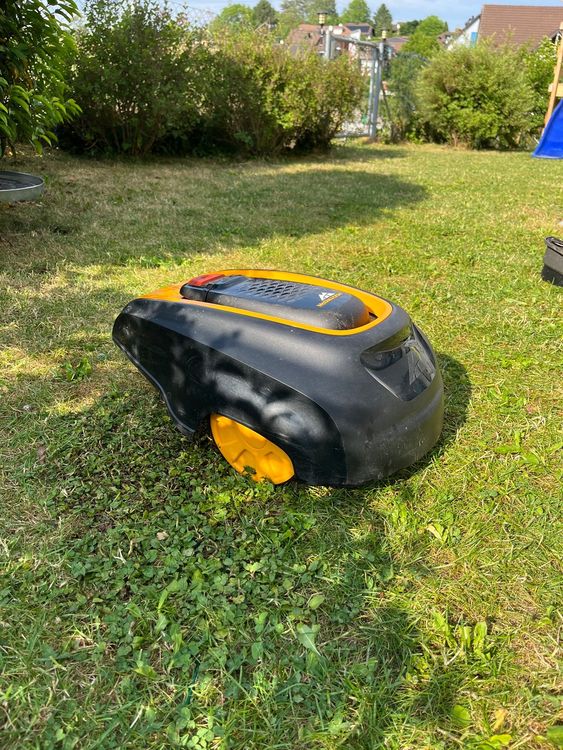 McCulloch R600 Rasenroboter Kaufen auf Ricardo