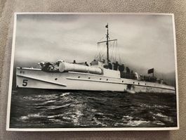 Fotodruck 12x17cm die Windhunde der Ostsee Rarität !