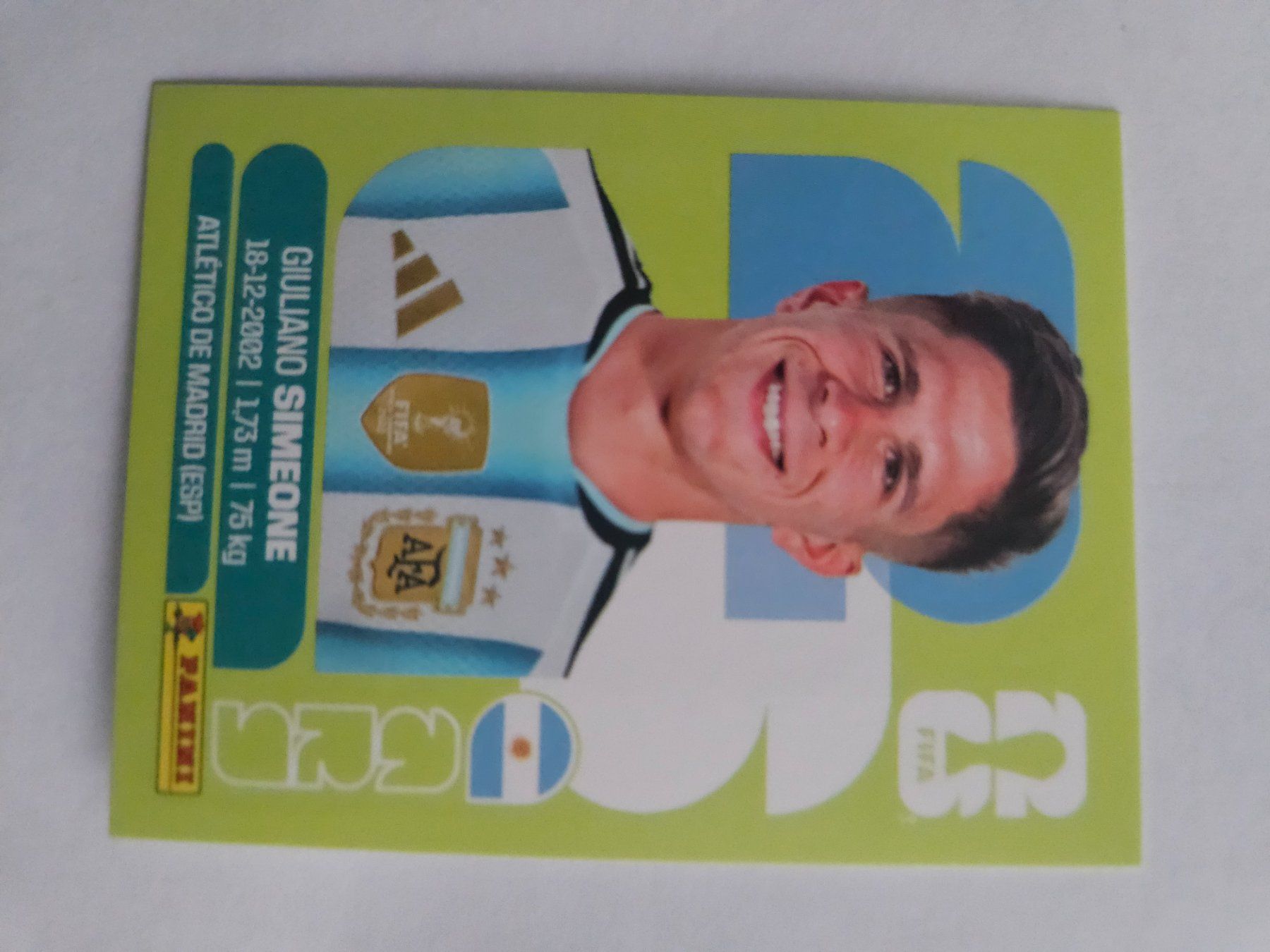 Panini Cartes à collectionner: ARG 20 – D'occasion à Würenlingen par Dinli