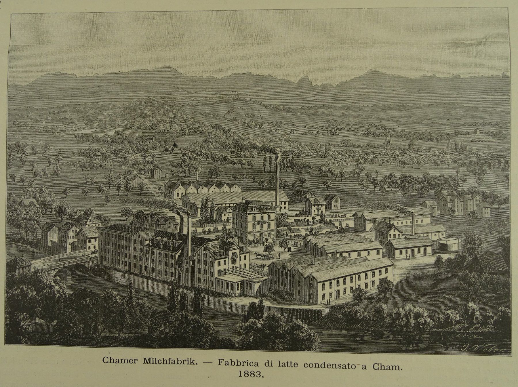 Stiche: CHAM MILCHFABRIK, 2 HOLZSTICHE 1884 – Gebraucht aus Grüningen von Kartensammler 3