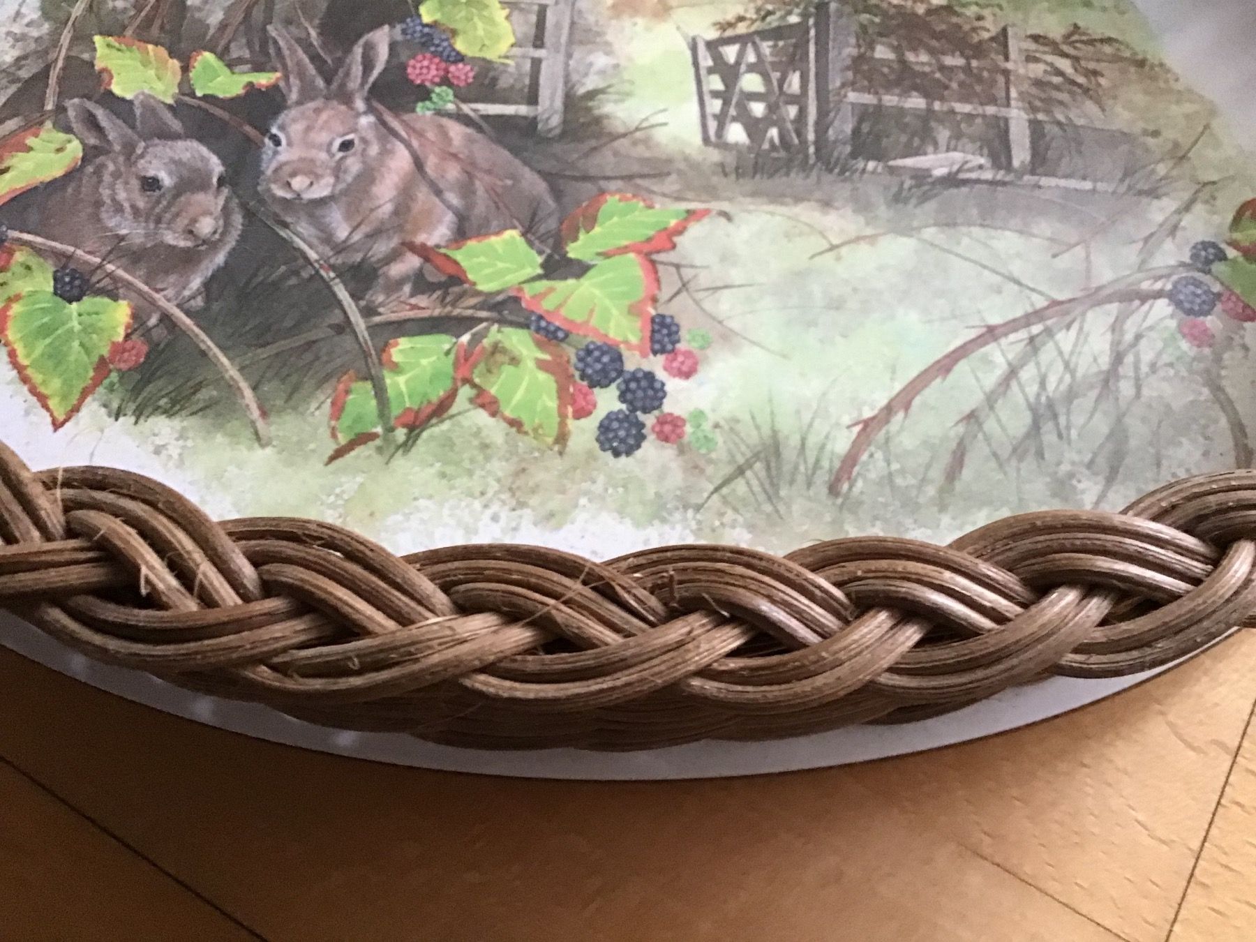 Contenitori & Simili: Korb aus Peddigrohr – Usato da Widnau venduto da stiinli 2