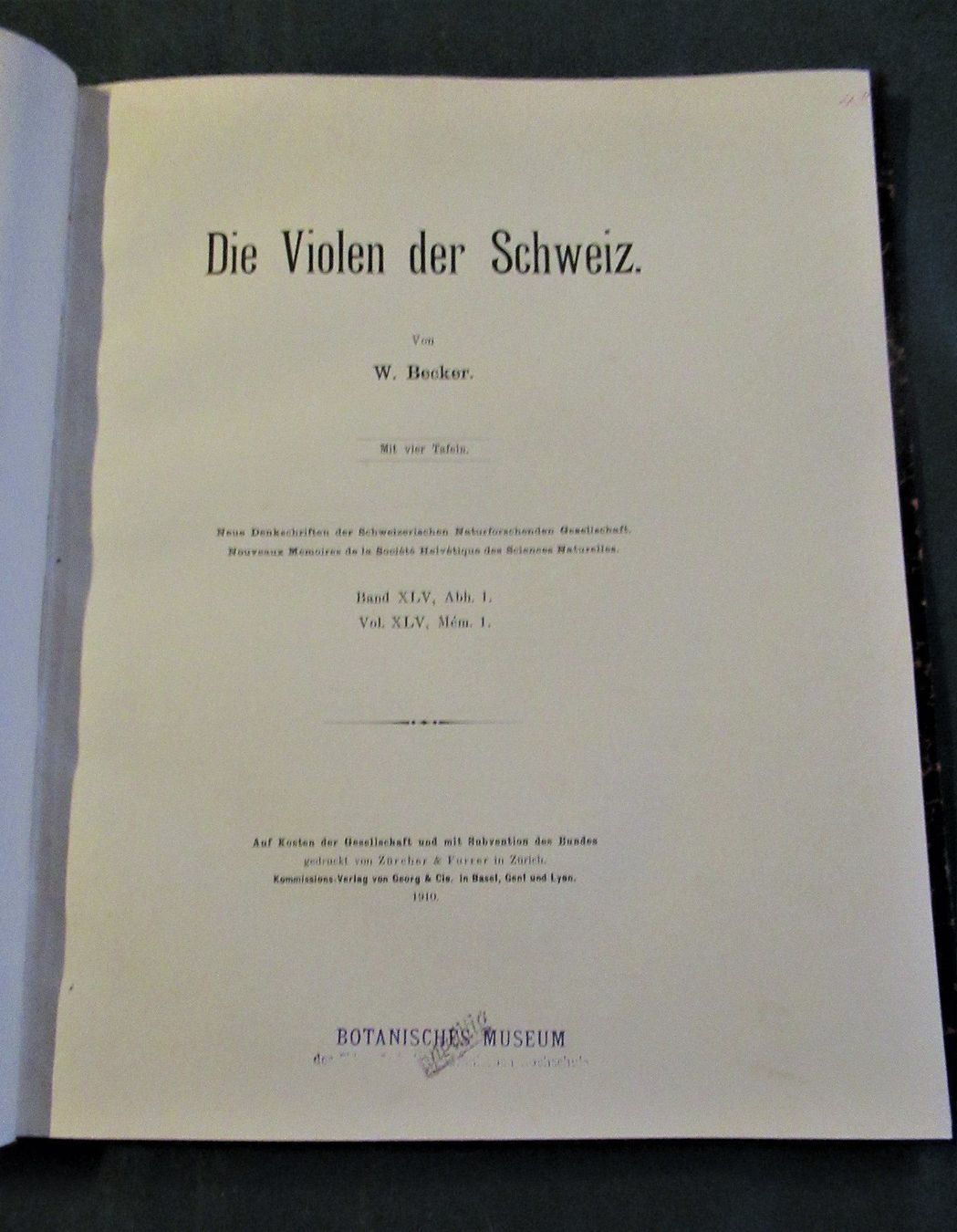 Libri: Violen Veilchen Botanik Gartenpflanzen – Usato da Hedingen venduto da Protechnica