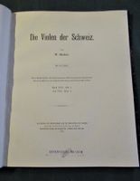 Violen Veilchen Botanik Gartenpflanzen