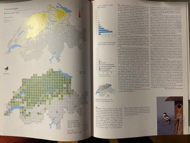 Libri: Schweizer Brutvogelatlas. Verbreitung etc. – Usato da Sulz AG venduto da fischueberalles 3