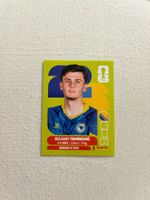 Panini BIH 9