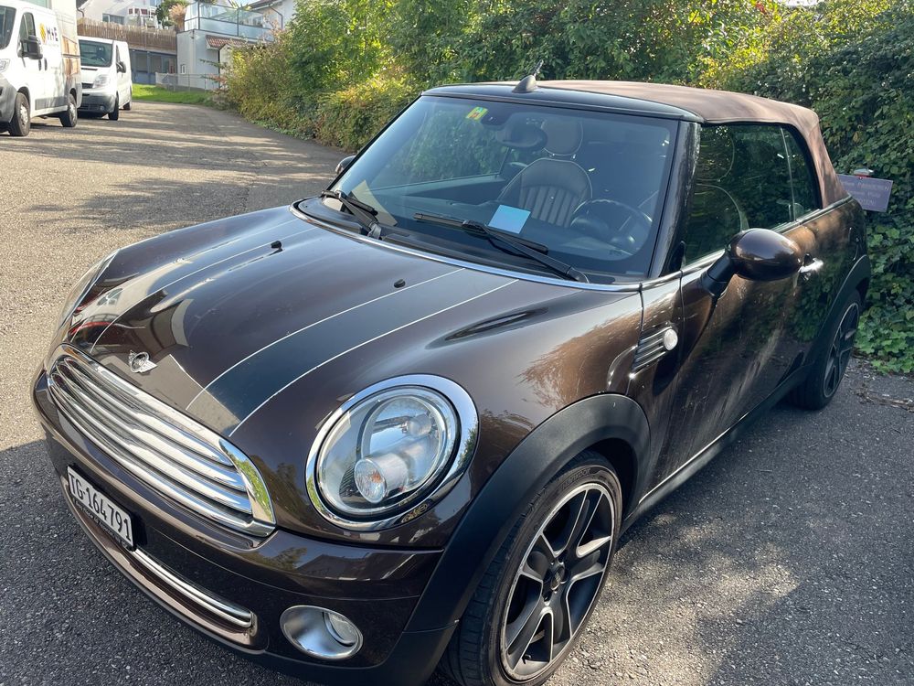 Mini Copper Cabrio Braun 8 Fach Bereift