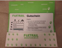 Gutschein für Foxtrail in Luzern für 4 Personen, ca. 100 Fr.