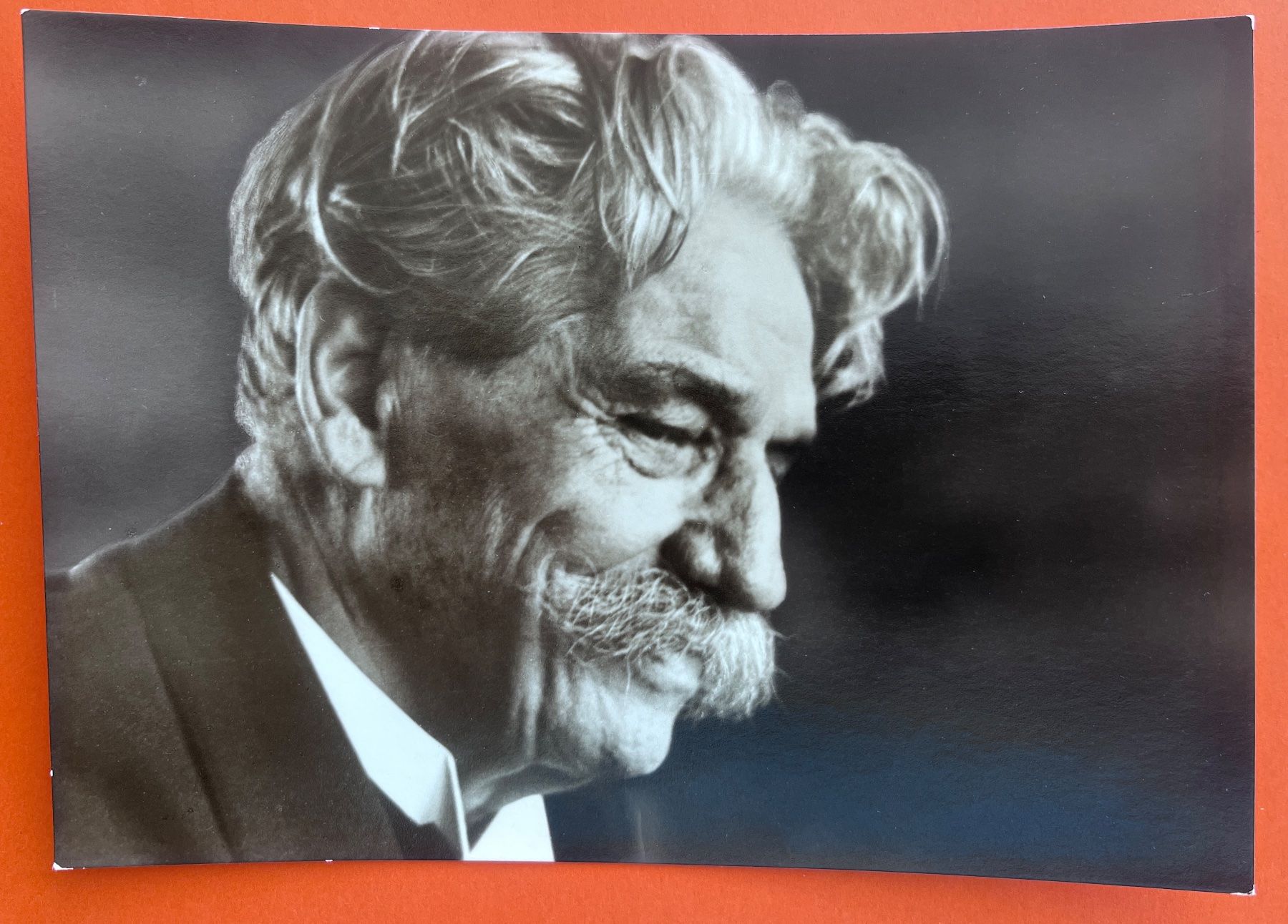Cartoline postali: AK Albert Schweizer "Schöpferische Menschen" – Usato da Biberist venduto da Edelfloh