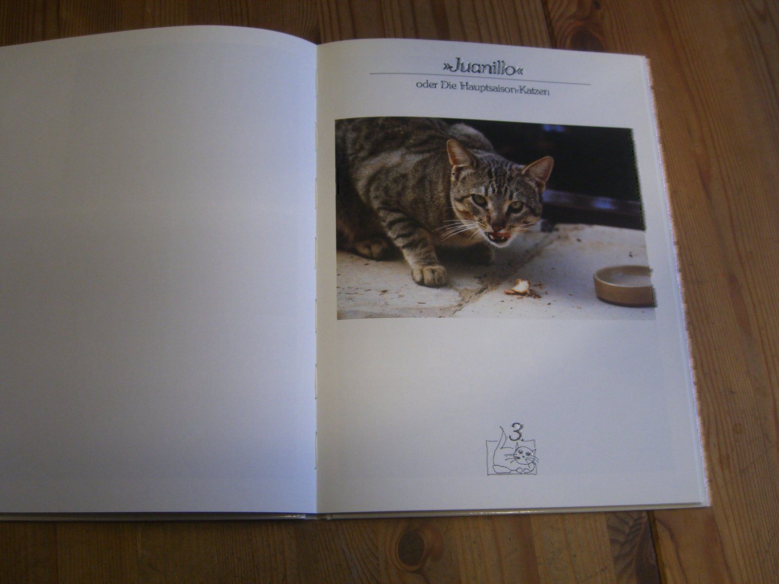 Libri: wunderschönes Katzenbuch "Katz & Co." – Nuovo (secondo la descrizione) da Winterthur venduto da Gaia 4