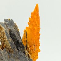 Sehr ungewöhnliche VERZWEIGTE ORANGE CALCIT, Sardinien