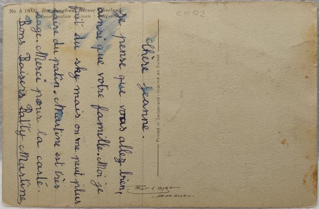 Cartoline postali: JUNGFRAU  -  Edelweiss – Usato da Delémont venduto da Domdom1 1