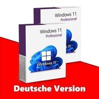 Windows 11 Professional (2 keys) - DE