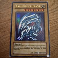 Blauäugiger W. Drache
