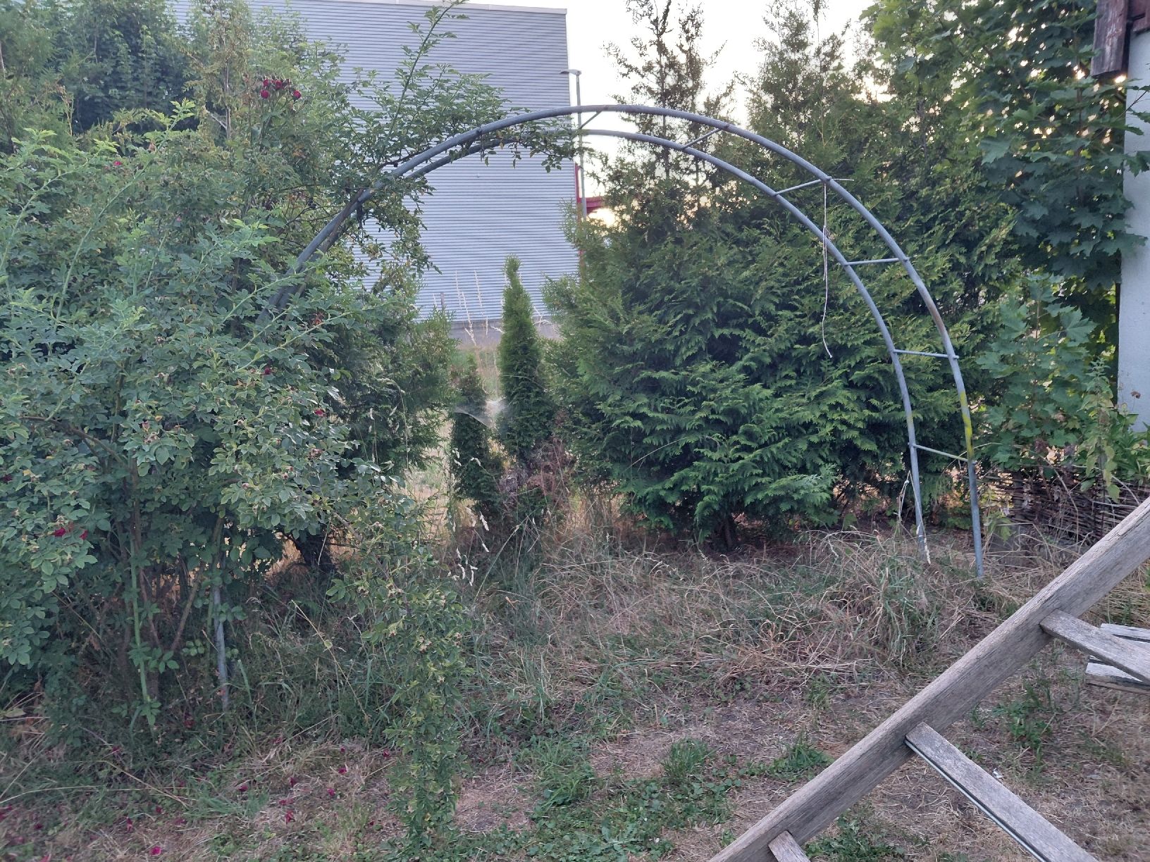 Bogenschiessen: Rosenbogen verzinkt b3mxh2.20xt45 – Gebraucht aus zuchwil von parson65