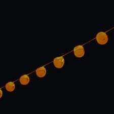 Profile image of tib_2wpj