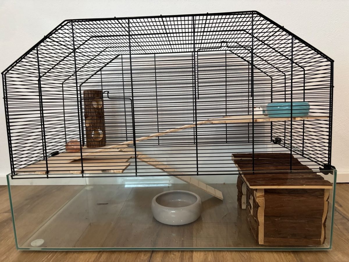 Cages, transport & sécurité: Hamsterkäfig – D'occasion à Wettingen par Brisa2011 2