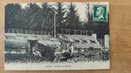 Alte Postkarte Lavaux - Potager et Serres um 1920