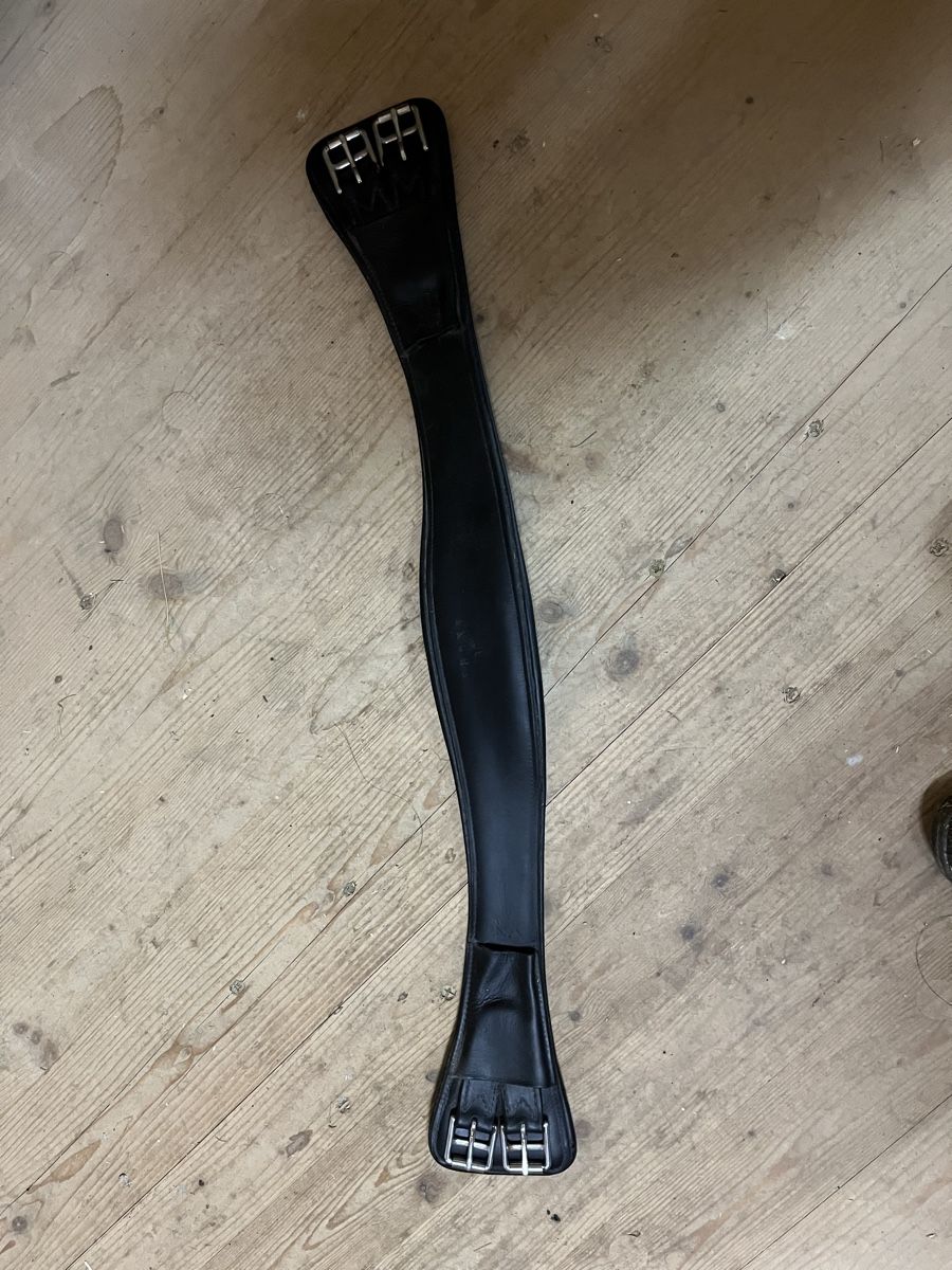 Selle & Accessori: Sattelgurte – Usato da Oberbüren venduto da Pat761 1