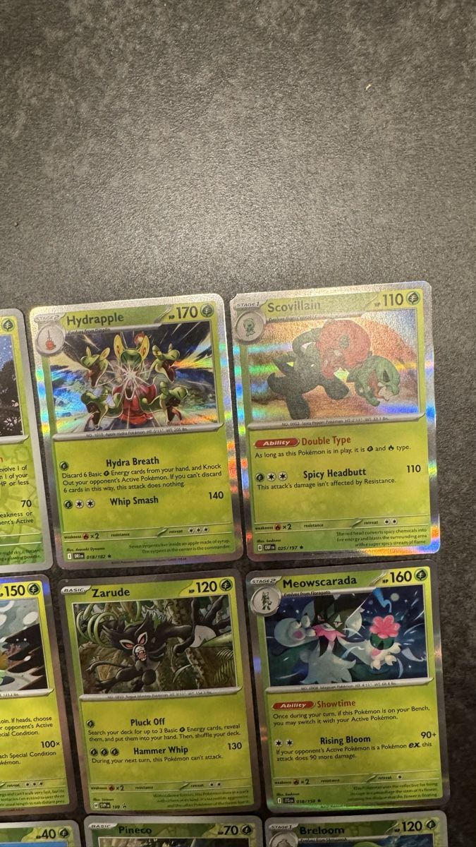 Pokémon Carte collezionabili: Pokemon Karten Set, Alle Holo Karten! – Nuovo (secondo la descrizione) da Dietlikon venduto da abd_7qwy 2